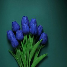 Day 50 Adet Mavi Renk Lale Çiçeği Tohumu + 10 Adet Hediye Hollanda Gülü Çiçek Tohumu