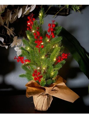 Nettenevime Yılbaşı Ağacı LED Işıklı Kokina Yapay Çam Ağacı Kraft Saksıda 55CM