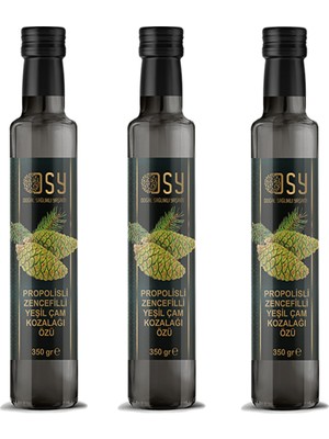 Doğal Sağlıklı Yaşam 3 Adet Yeşil Çam Kozalak Özü