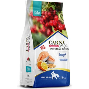 Life Cranberry Somon ve Portakallı Yetişkin Köpek Maması 2,5 kg
