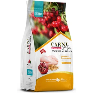 Life Cranberry Tavuk ve Narlı Yavru Köpek Maması 12 kg