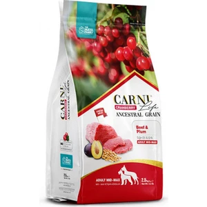 Life Cranberry Sığır Eti ve Erikli Yetişkin Köpek Maması 12 kg