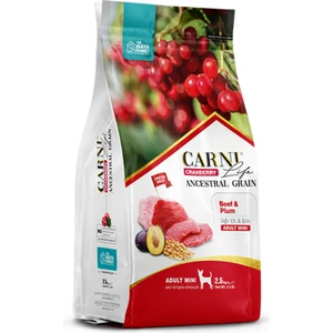 Life Cranberry Sığır Eti ve Erikli Mini Irk Yetişkin Köpek Maması 2,5 kg