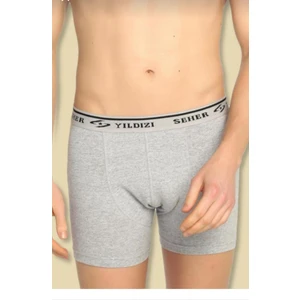 Seher Yıldızı 0060 Erkek Likralı Boxer