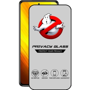 Caseart Xiaomi Poco X3 Tam Kaplayan Gizli Hayalet Temperli Ekran Koruyucu Cam
