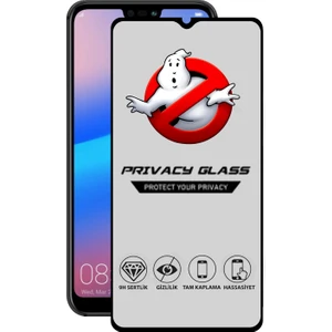 Caseart Huawei P20 Lite Tam Kaplayan Gizli Hayalet Temperli Ekran Koruyucu Cam