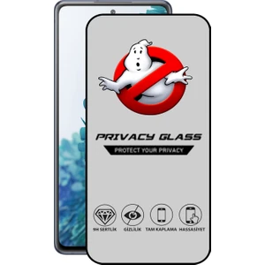 Caseart Samsung Galaxy S20 Fe Tam Kaplayan Gizli Hayalet Temperli Ekran Koruyucu Cam