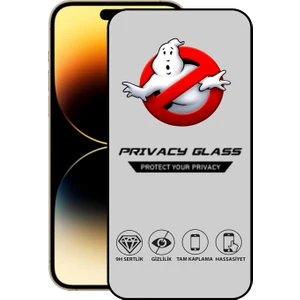 Caseart Apple iPhone 14 Pro Tam Kaplayan Gizli Hayalet Temperli Ekran Koruyucu Cam