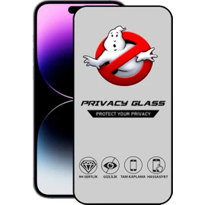 Caseart Apple iPhone 14 Pro Max Tam Kaplayan Gizli Hayalet Temperli Ekran Koruyucu Cam