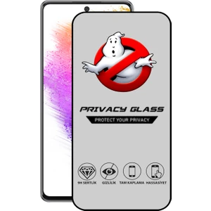 Caseart Samsung Galaxy A73 Tam Kaplayan Gizli Hayalet Temperli Ekran Koruyucu Cam