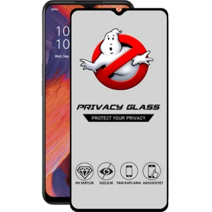 Caseart Oppo A73 Tam Kaplayan Gizli Hayalet Temperli Ekran Koruyucu Cam