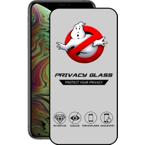 Caseart Apple iPhone Xs Max Tam Kaplayan Gizli Hayalet Temperli Ekran Koruyucu Cam