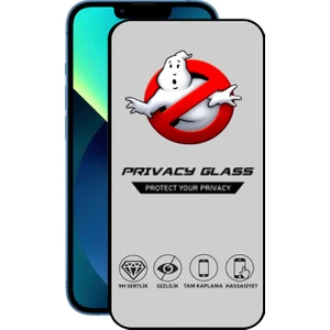 Caseart Apple iPhone 13 Tam Kaplayan Gizli Hayalet Temperli Ekran Koruyucu Cam
