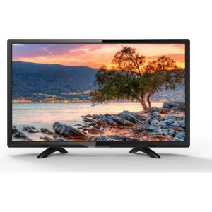 24PA200E 24'' 61 Ekran Uydu Alıcılı LED TV
