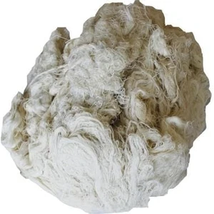 1 kg Üstübü