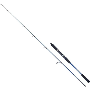 Strobe Iı 1.98M 80-170GR 2p Jig Olta Kamışı
