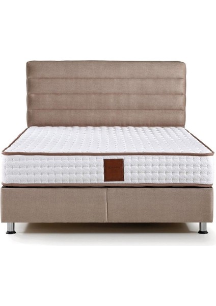 Md Sedef 100 x 200 cm Tek Kişilik Yatak Baza Başlık Seti GM121
