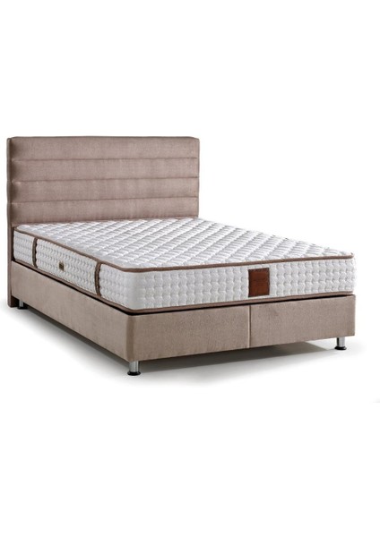 Md Sedef 100 x 200 cm Tek Kişilik Yatak Baza Başlık Seti GM121