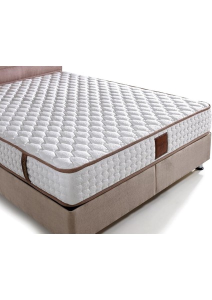 Md Sedef 100 x 200 cm Tek Kişilik Yatak Baza Başlık Seti GM121