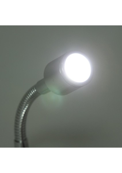 Rv Boat 12V 1W LED Başucu Okuma Işık Duvar Yüzeyi Montaj Gümüş (Yurt Dışından)