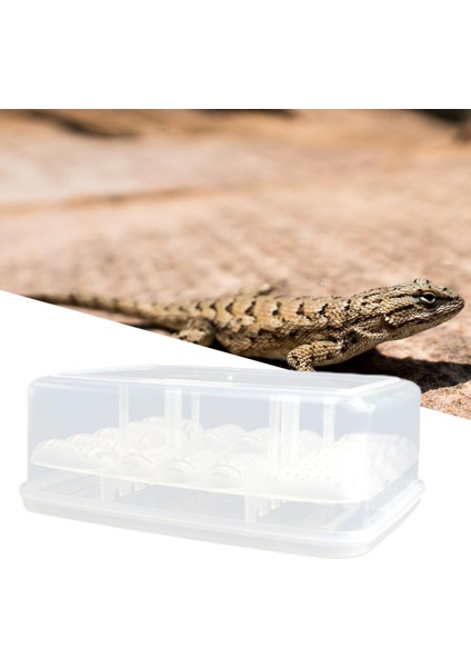 16 Yumurta Sürüngen Yumurta Inkübatör Tepsi Gecko Termometre Kaplumbağaları Inkübasyon (Yurt Dışından) modelleri