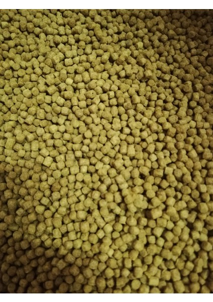 Flowerhorn Yemi 200 gram modelleri