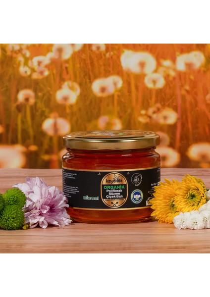 Organik Polifloralı Süzme Çiçek Bal 400 gr modelleri