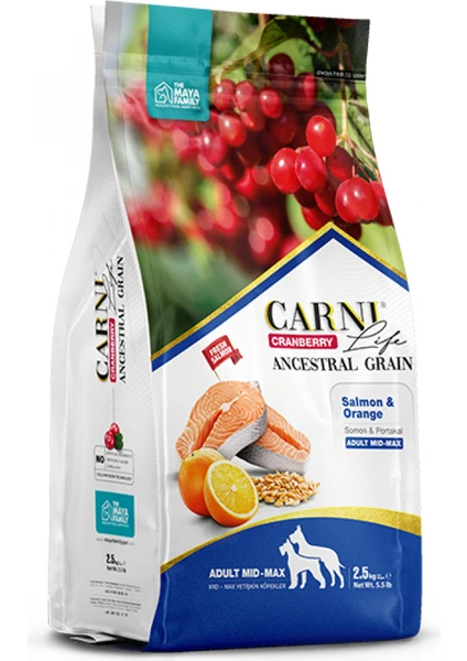 Life Cranberry Somon ve Portakallı Yetişkin Köpek Maması 2,5 kg