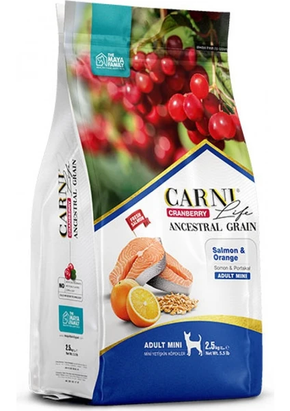 Life Cranberry Somon ve Portakallı Mini Irk Yetişkin Köpek Maması 2,5 kg