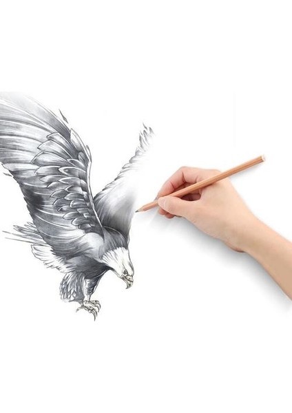 29 Adet Kroki Kalem Seti Profesyonel Çizim Kalemler Çanta Taşınabilir Açık Seyahat Ketching Ressam Okul Öğrencileri Sanat Malzemeleri | Standart Kalemler modelleri