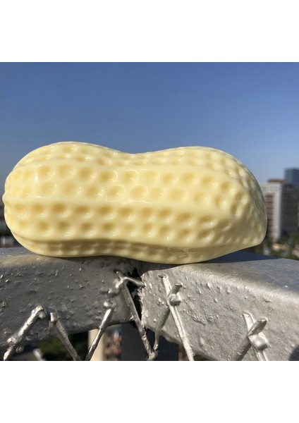 Evcil Hayvan Aktivite ve Zeka Oyuncağı (Yurt Dışından) indirimleri