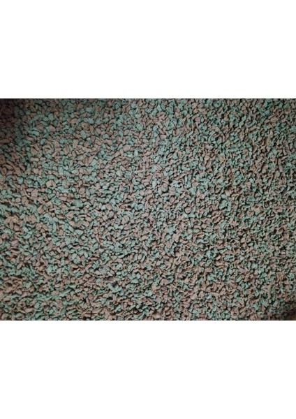 Artakua Spirulina Garlic Granulat Yem 100 Gram modelleri