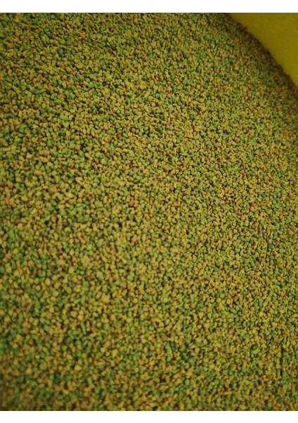 Artakua Guppy Fish Granulat, Lepistes Yemi 100 Gram modelleri