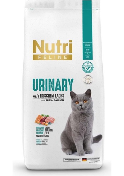 Destekleyici Somonlu Yetişkin Kedi Maması 10 kg