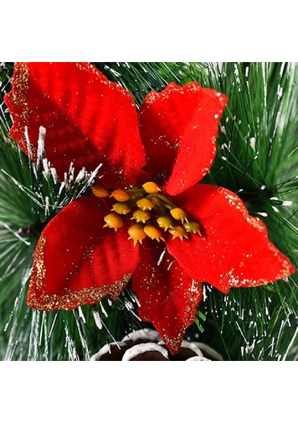23CM Noel Çelenk, Spesifikasyon: Sıradan Beyaz Kar (Yurt Dışından)