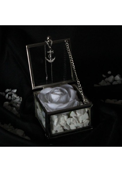 Dekoratif Kutu Kapaklı Camlı Metal Beyaz Gül Çapa Kolye Hediye fiyatları