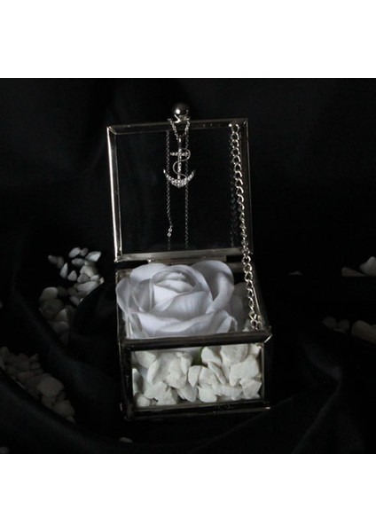 Dekoratif Kutu Kapaklı Camlı Metal Beyaz Gül Çapa Kolye Hediye modelleri