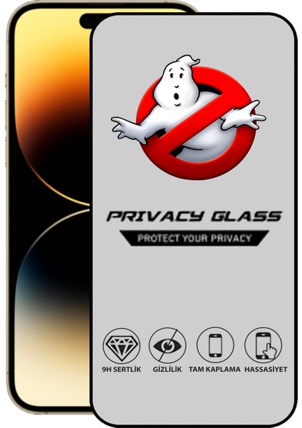 Apple iPhone 14 Pro Tam Kaplayan Gizli Hayalet Temperli Ekran Koruyucu Cam