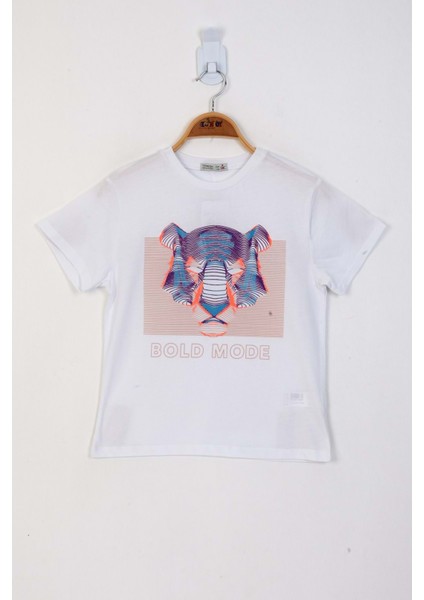 Toontoy Erkek Çocuk Kabartma Baskılı Tişört fiyatları