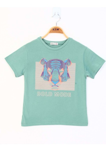 Toontoy Erkek Çocuk Kabartma Baskılı Tişört modelleri