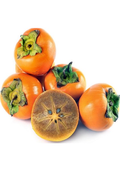 3 Adet Çikolata Aromalı Trabzon Hurması Fidanı ( Cennet Elması ) fiyatları