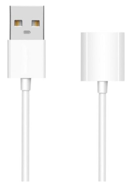 Apple Pencil-Kalem Için USB Şarj Kablosu