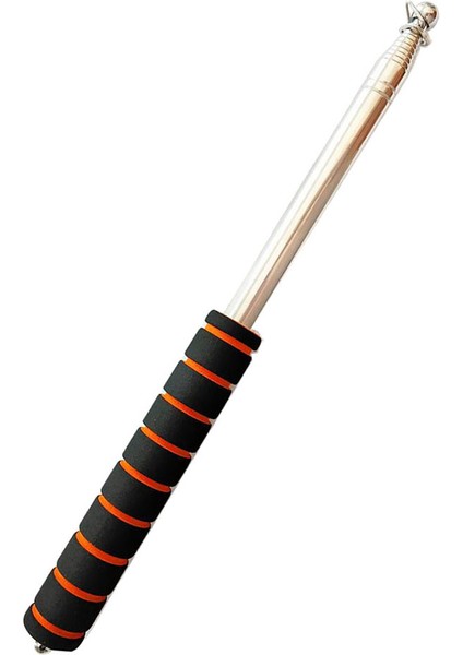 Pointer 2.5m Portakal Öğretimi(Yurt Dışından)