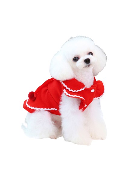 Noel Prenses Köpek Kostüm (Yurt Dışından)