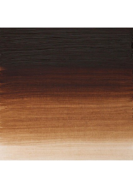 Artists Yağlı Boya 37ML Burnt Umber 076 S.1