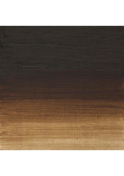 Artists Yağlı Boya 37ML Raw Umber 554 S.1 fiyatları