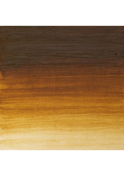 Artists Yağlı Boya 37ML Raw Umber Light 557 S.1 fiyatları