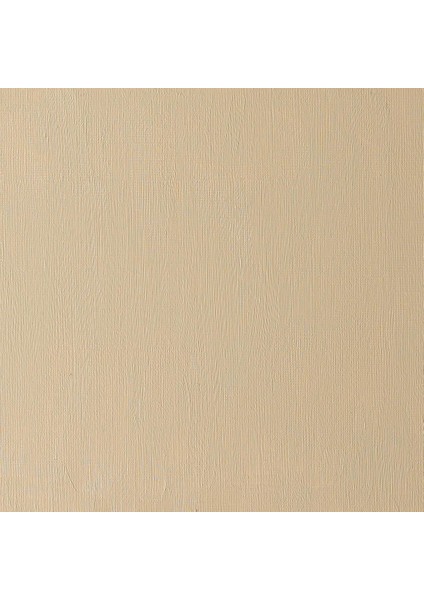 Artists Yağlı Boya 37ML Raw Umber Light 557 S.1 modelleri