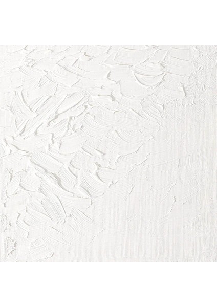 Artists Yağlı Boya 37ML Titanium White 644 S.1