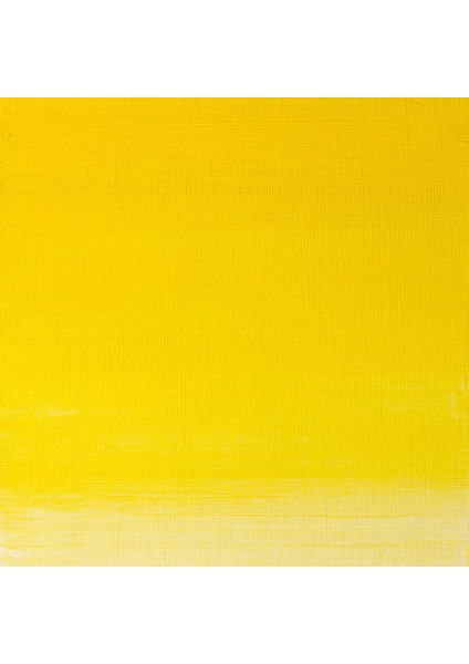 Artists Yağlı Boya 37ML Winsor Yellow 730 S.2 fiyatları